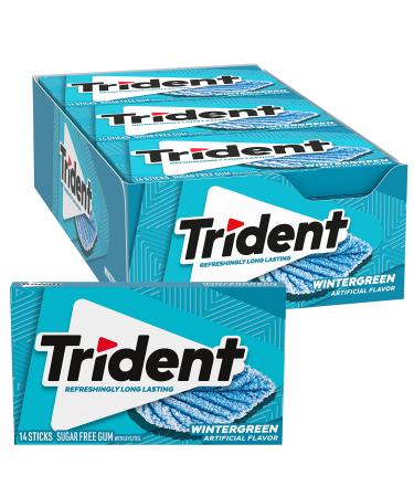 Trident Wintergreen Sugar Free Chewing Gum with Xylitol 14 Sticks 39 g