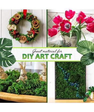 DUSPRO Green Moss: Artificial Moss for Crafts, Potted Plants, Table Decor, Weddings & DIY Projects - 140gr - Buy Online on GoSupps.com