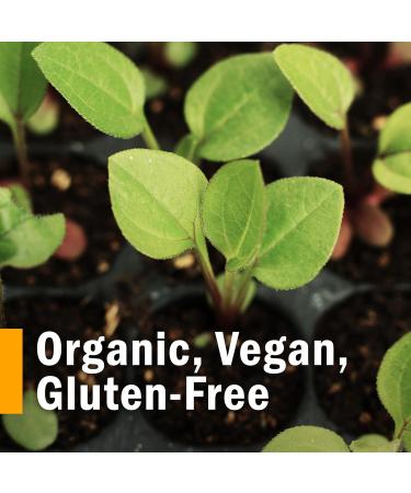 Herb Pharm Breath Refresher Certified Organic Herbal Fresh Breath Spray with Spearmint Essential Oil - 1/2 Ounce (Pack of 3) 0.47 Fl Oz (Pack of 3) Spearmint - Buy Online on GoSupps.com