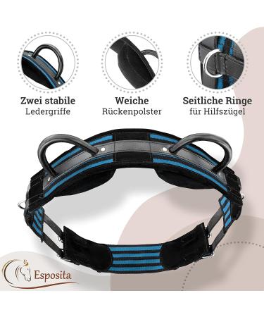 Esposita Riding Strap with Leather Handles - Versatile Child & Rider Support Lunging & Vaulting Belt Blue-Black Wooden Horse Accessory - Buy Online on GoSupps.com