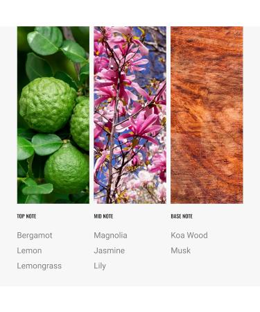 Hotel Collection Diffuser Oil-24K Magic Pro-Pod-Aromatherapy Essential Fragrance Oil-Italian Bergamot Lemongrass & Sweet Laurel Leaf-30ML 1.1 Fl oz 24K Magic 1.1 Fl Oz (Pack of 1) - Buy Online on GoSupps.com