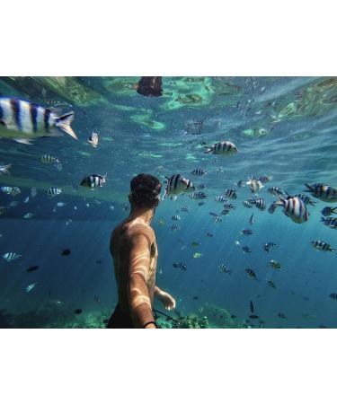 GoPro AFHGM-003 Handler Floating Hand Grip - Official Accessory for Cameras - Buy Online on GoSupps.com