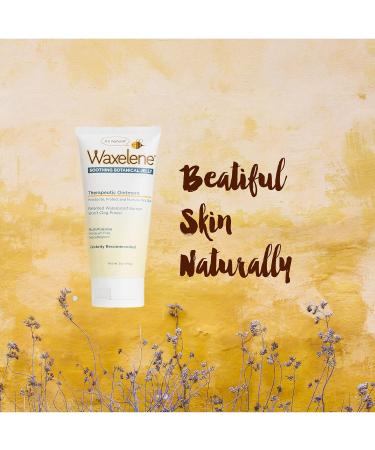 Waxelene Organic Multi-Purpose Ointment-Large & Lip Tube | Natural Skin Care - Buy Online on GoSupps.com