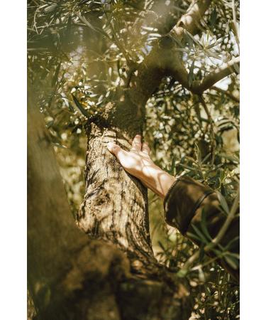 Olive Oil 5 Litre Metal Canister - Buy Online on GoSupps.com