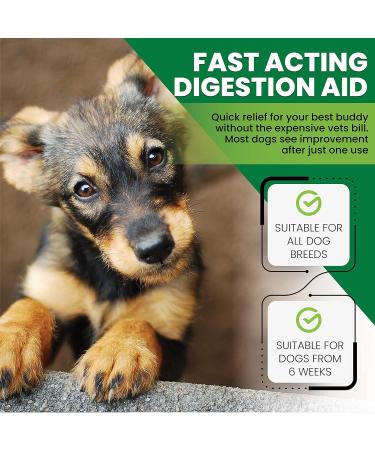 Tummy Relief for Dogs - Fast-Acting Diarrhea Treatment & Stomach Settler - Gut Health Supplement - Liquid Medicine for Upset Stomach - 250ml - Buy Online on GoSupps.com