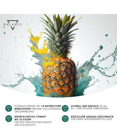 Easyfit Detox 500 ml - Detox Drainage Diet | Detoxification Cure with Bromelain Aloe Juice & Centella Asiatica | Leber Detox Test Winner | Shop Internationally - Buy Online on GoSupps.com