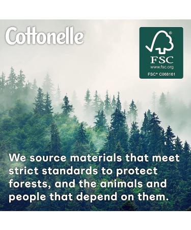 Cottonelle Fresh Care On-the-Go Flushable Wet Wipes - 336 Total Wipes, Adult Wet Wipes, 24 Resealable Packs - Buy Online on GoSupps.com
