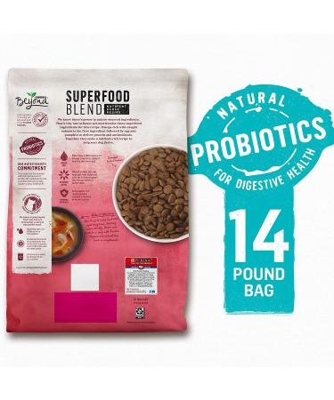 Purina Beyond Natural Adult Dog Food - Superfoods Salmon & Pumpkin Blend - 14.5 lb Small Breed - Buy Online on GoSupps.com