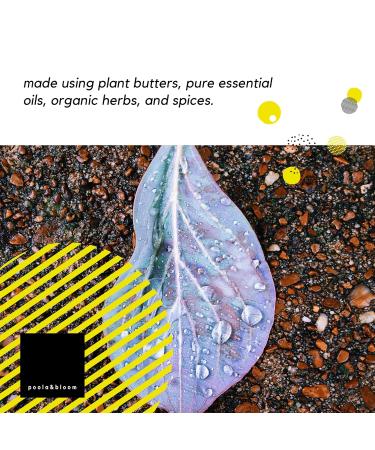 4er Nature Shower Soap Set - Activated Carbon & Peppermint - Palm Oil-Free Solid Shower Gel for Men & Women - Personal Care Black Soap for Beautiful Skin - Buy Online on GoSupps.com