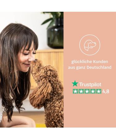 Mammaly Dog Shiny Hair Care Snacks - Omega-3 Biotin & Sea Algae for Fur Health | 180 Treats Bundle - Buy Online on GoSupps.com