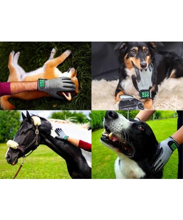DR Zoo Size S Grooming Gloves - Perfect for Dogs & Cats | International Shipping - Buy Online on GoSupps.com