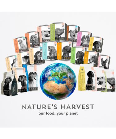 Nature s Harvest Gluten Free Dog Mixer with Prebiotics 10kg | Hypoallergenic Dog Food for Sensitive Stomachs and Fussy Eaters | Grain Free Suitable for All Dog Breeds | Puppy Adult & Senior - Buy Online on GoSupps.com