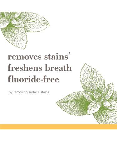 Burt's Bees Purely White Zen Peppermint Toothpaste - 4.7oz (3 Pack) | Natural Flavor, Fluoride Free - Buy Online on GoSupps.com