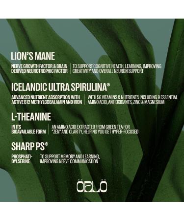 ORLO Focus & Memory Gummies Brain Health & Cognitive Support for Adults with Lion s Mane Mushroom L-Theanine & Phosphatidylserine Nootropic Supplement for Focus Clarity & Memory 60 Vegan Gummies - Buy Online on GoSupps.com