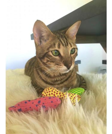 YEOWWW catnip toys for cats - organic very strong catnip fish stinkies sardines cat toys with catnip pack of 3 colourful patterns - 7.5cm long - Buy Online on GoSupps.com