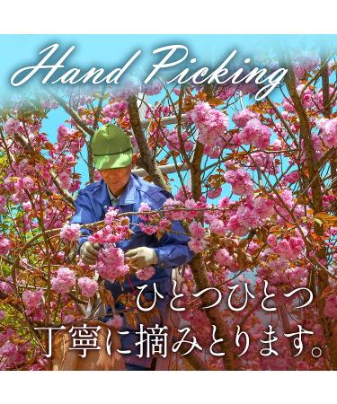 Sakura Cherry Blossom Powder - YAMASAN Japanese Drinks & Food, Spring Mix 1.4oz (40g) - Buy Online on GoSupps.com
