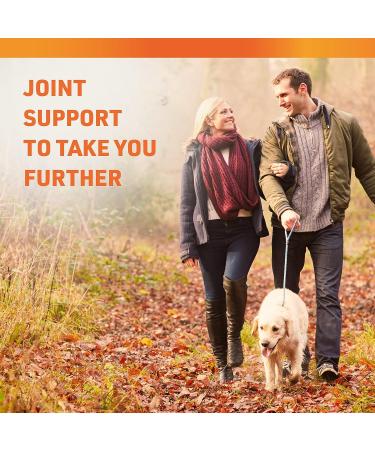Turmeric Curcumin Supplement with Ginger, Apple Cider Vinegar & BioPerine - 120 Count, 95% Curcuminoids, Joint Support & Antioxidant - Capsules for Turmeric & Ginger - Pack of 1 - Buy Online on GoSupps.com