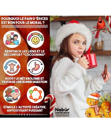 Nab r - 250gr M lange Pain d' pices Pr paration Pain d' pices et Petit bonhomme en pain d' pices pices de No l Sans farine sans additifs (250 gr) 250 g (Lot de 1) - Buy Online on GoSupps.com