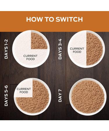 Purina Pro Plan NF Kidney Function Advanced Care Wet Cat Food - 24 Cans, 5.5 oz each - Buy Online on GoSupps.com