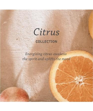 Pharmacopia Citrus Shampoo 16 oz - Vegan & Organic Aromatherapy Hair Care | Cruelty-Free, Paraben & Sulfate-Free - Buy Online on GoSupps.com