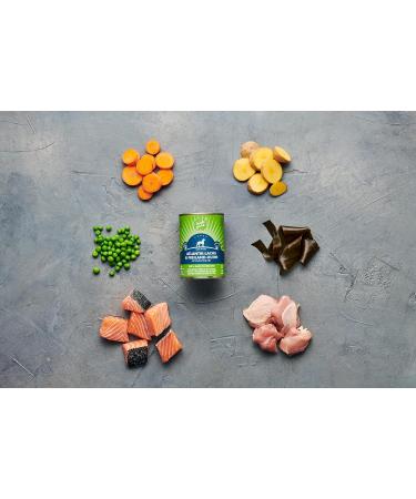 Irish Pure Premium Wet Dog Food - Atlantic Salmon | Cereal-Free | 6x390g | Superfood Kelp | Vitamins | Sensitive Formula | All Breeds - Buy Online on GoSupps.com