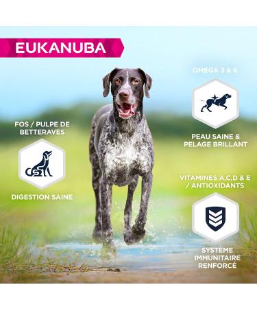 Eukanuba Dog Grain Free Adult L Chicken 3 kg - Buy Online on GoSupps.com