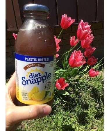 Snapple Lemon diet 12 x 473 ML 5676 Milliliter Soft Drinks Diet Lemon - Buy Online on GoSupps.com