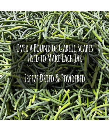 Gourmend Foods Garlic Scape Powder - Monash Certified Low FODMAP, Gluten-Free, 100% Natural, No Fillers - Buy Online on GoSupps.com
