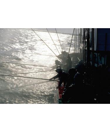 SERRATS 12 Pieces Bonito del Norte del Cant brico in Olive Oil with Espelette Paprika 190g - Buy Online on GoSupps.com