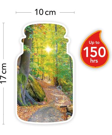 Yankee Candle Autumn Nature Walk Large Jar Candle - 150 Hours Burn Time - Perfect Gift for Women - Buy Online on GoSupps.com