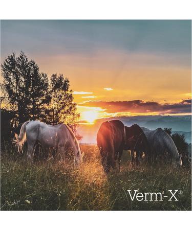 Buy Verm-X Pellets for Horses and Ponies 750g | International Shipping Available - Buy Online on GoSupps.com