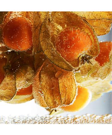 Erno Laszlo Soothing Relief Hydration Serum - Milky Facial Serum for Sensitive Skin | 1 Fl Oz | Relieve Skin Sensitivity & Hydrate - Buy Online on GoSupps.com