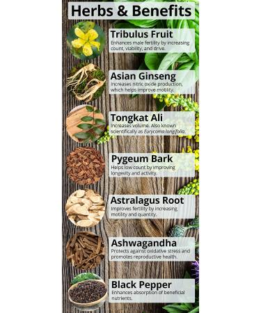 Happy Healthy Hippie Positively Pregnant for Dads - Premium Male Fertility Aid with Tribulus Terrestris, Ginseng, and Ashwagandha Extract - 60 Capsules - Buy Online on GoSupps.com