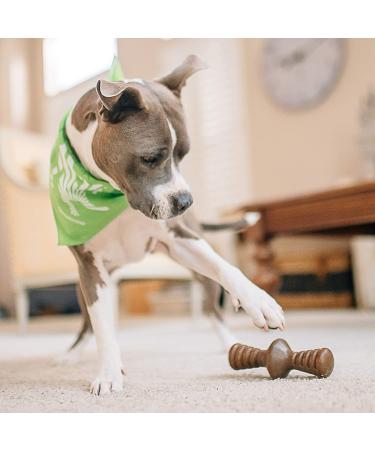 Benebone Zaggler Rolling Dog Chew Toy - Real Bacon Flavor, Made in USA - Medium Size for Aggressive Chewers - Buy Online on GoSupps.com