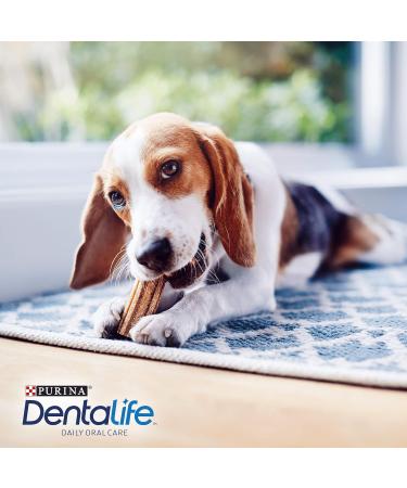 DENTALIFE Small Dog Treat Dental Chew 21 Stick Pack of 3 Chicken 345 g (Pack of 3) - Buy Online on GoSupps.com