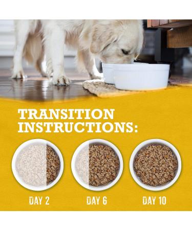 Beyond Grain Free Natural Wet Dog Food Ground Entree Variety Pack 3 Flavours - 368 g Can (6 Pack) - Buy Online on GoSupps.com