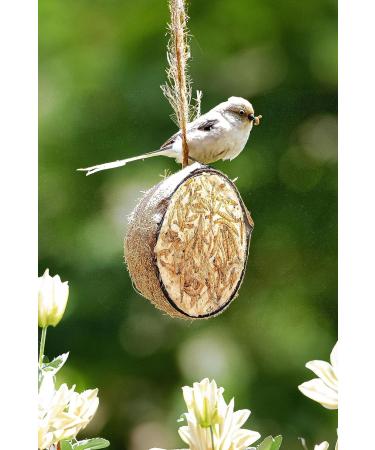 Blumixx 32-Piece Coconut Halves with Mealworms - All-Year-Round Wild Bird Food for Hanging - Buy Online on GoSupps.com