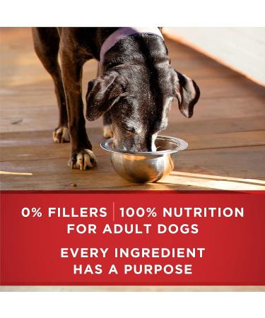 Purina ONE Senior Wet Dog Food Healthy Aging 7+ Turkey & Barley Entree - 368 g Can - Buy Online on GoSupps.com