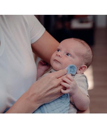 Comfy Cubs Muslin Spitting Towels Set | 100% Cotton 6-Layer Extra Absorbent Hand Washcloths - Pack of 10 - Buy Online on GoSupps.com