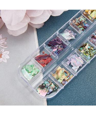 NICENEEDED 12 Colors Abalone Seashell Nail Art Flakes - Style 2 - Buy Online on GoSupps.com