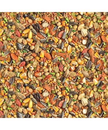 Wild Harvest Advanced Nutrition Parrot 8lb Bag - Premium Parrot Food Blend - Buy Online on GoSupps.com