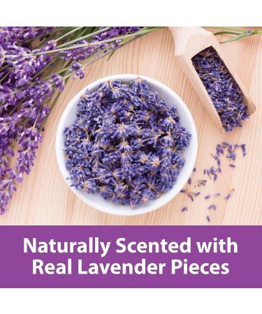 Kaytee Clean & Cozy Natural Bedding - Lavender - 24.6 Liters - Buy Online on GoSupps.com