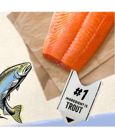 Beyond Wet Cat Food Trout & Catfish Pate - 85 g Can (12 Pack) - Buy Online on GoSupps.com