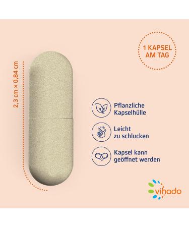 Vihado Multivitamin & Multimineral Complex - 26 High-Dose Vitamins & Minerals with Q10 & Zinc | Daily Dietary Supplement - 60 Capsules - Buy Online on GoSupps.com