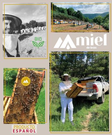 Pure bee honey. Spain honey | High mountain honey - 450 g - 100% natural and organic bee honey. Handmade product of clean harvest. Floral flavour - intense aroma. Origin Spain. - Buy Online on GoSupps.com