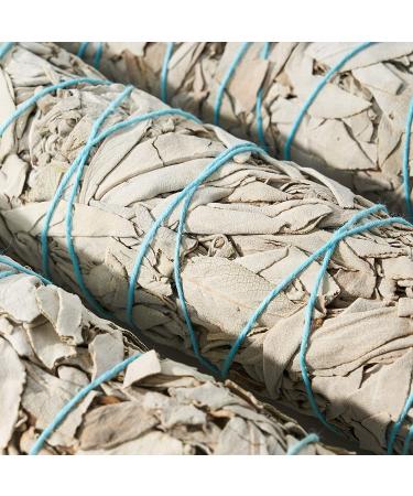9-Inch White Sage Smudge Sticks (3 Pack) - Sustainably Harvested for Smudging & Cleansing with Instructions - Buy Online on GoSupps.com