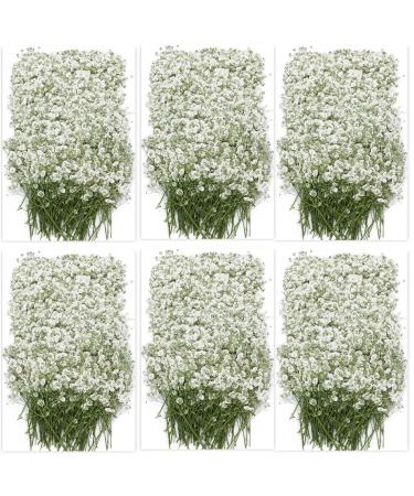 100PCS Dried Pressed Babys Breath Flowers Bulk  YouthBro Real Nature Ivory White Gypsophila Branches Bouquet for Resin Invitations Wedding Art Craft DIY Card Making Babys Breath-white 100