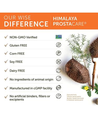 Himalaya ProstaCare 240 Vegetarian Capsules - Natural Support for Prostate Health - Buy Online on GoSupps.com