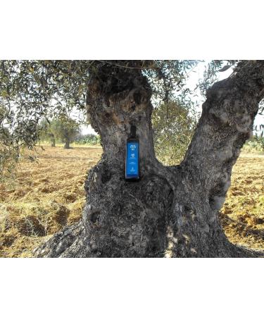 Extra Virgin Organic Olive Oil Cold Pressed 75cl - Buy Online on GoSupps.com