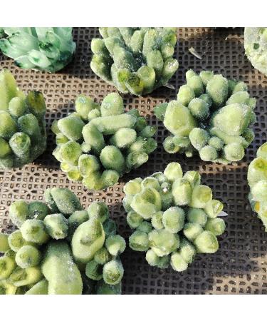 Stone 1pcs 400-500g Natural Green Ghost Phantom Quartz Crystal Cluster Specimen Crystal Cluster - Buy Online on GoSupps.com